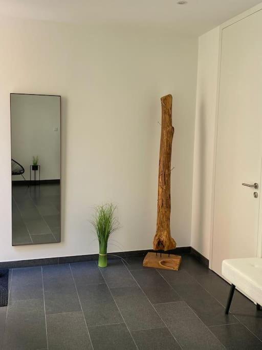 Atelierhaus Zentrum,Ruhig,100 Meter Vom Rathausplatz Ingolstadt Exteriör bild